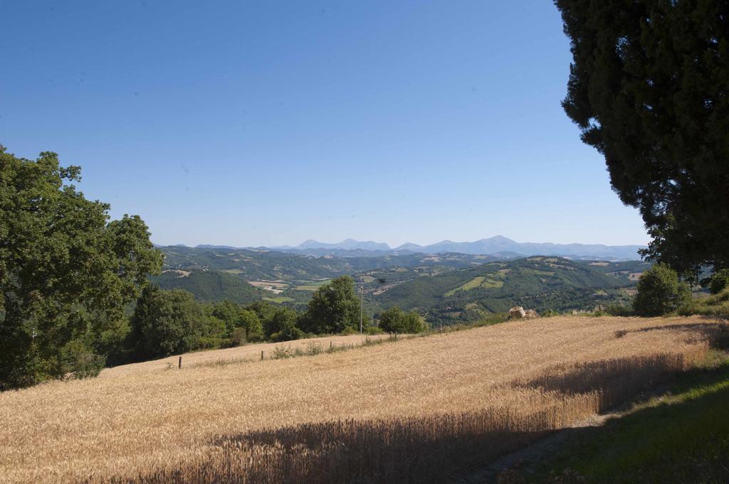 Agriturismo Tenuta Di Biscina Εξωτερικό φωτογραφία